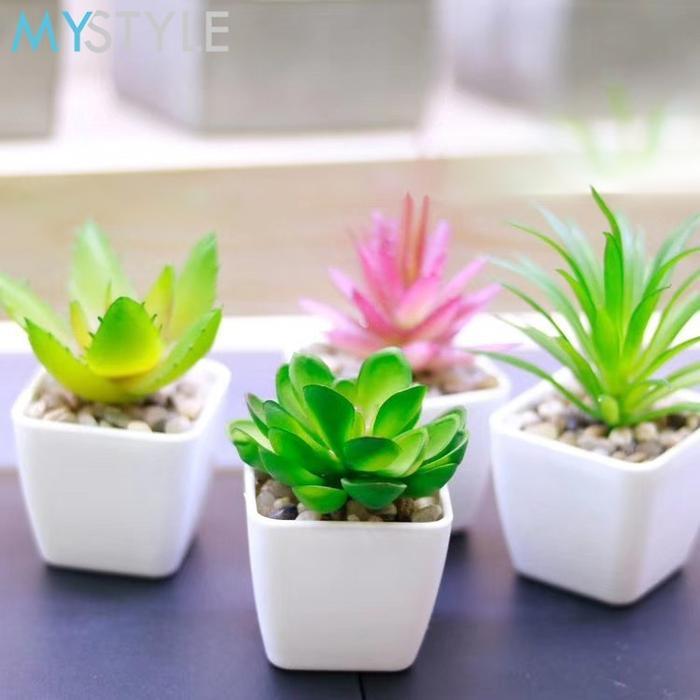 Bambangeko-9 Kaktus Mini / Tanaman Hiasan / Tanaman Aneka Macam Kaktus / Tanaman Plastik