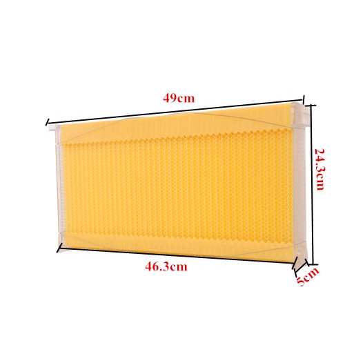 Automatic honey harvesting, flow hive honeycomb, bees in the hive, bee plastic self-flow honeycomb