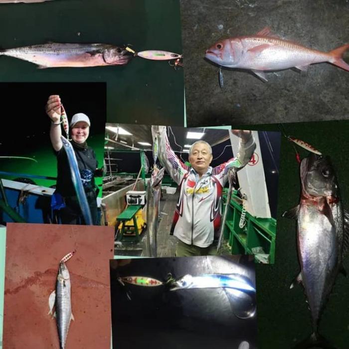 Metal Jig Slow Jigging Mister Jigging