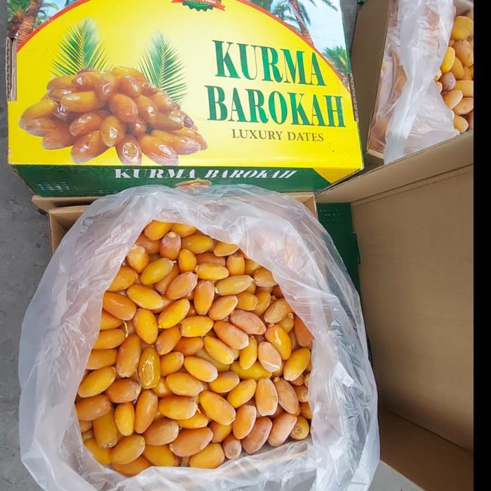 kurma barokah ruthab libya 5kg ruthob kurma muda 5kg
