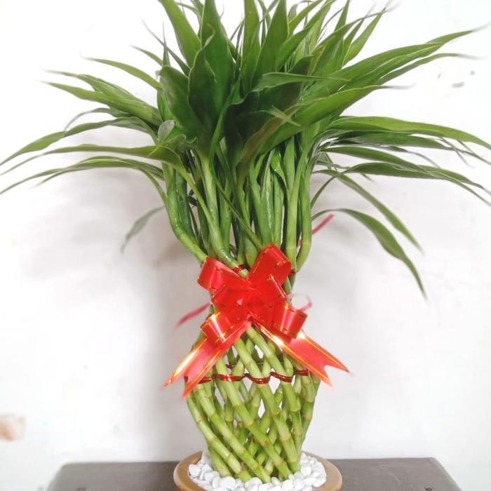 PAJANGAN/HIASAN/DEKORASI RUMAH/KANTOR BAMBU HOKI GUCI MINI VARIGATA