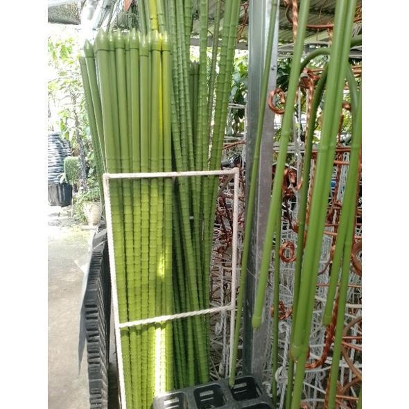 TIANG AJIR TURUS UNTUK PENYANGGA TANAMAN HIAS TURUS PLASTIK 1 METER