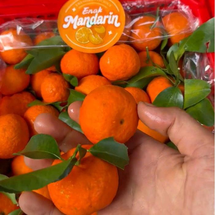 Buah Jeruk Santang daun Birma EnakPer 1 bok krat
