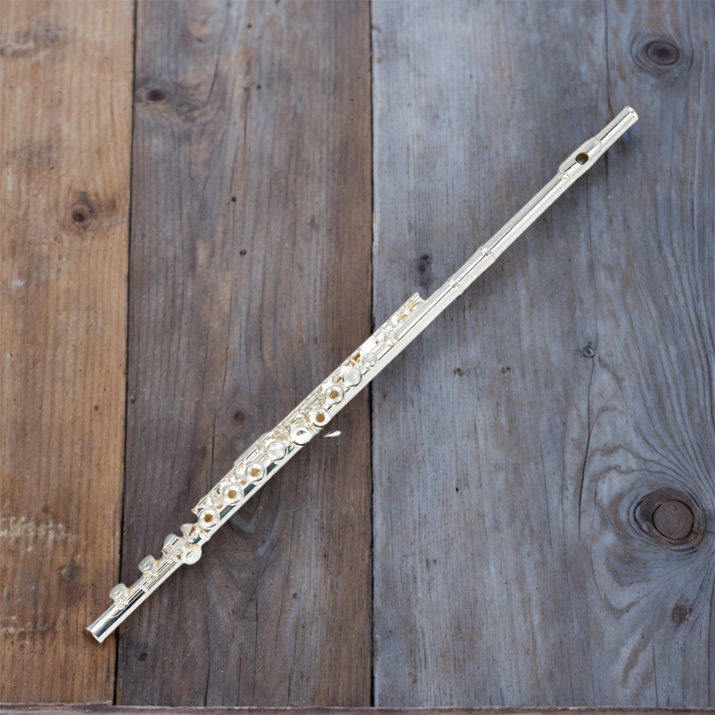 Closed Hole C Flute with Carrying Case/Bag Open Hole 16 Keys Flute Student Flute Instrument for