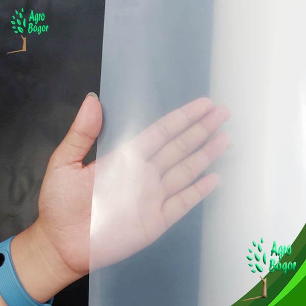 PLASTIK UV LEBAR 6 METER ECERAN METERAN, PLASTIK UV GREENHOUSE