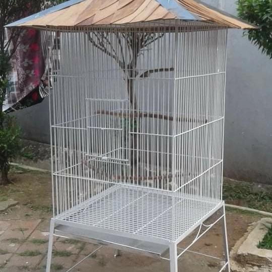 sangkar burung jalak bali, beo, dll