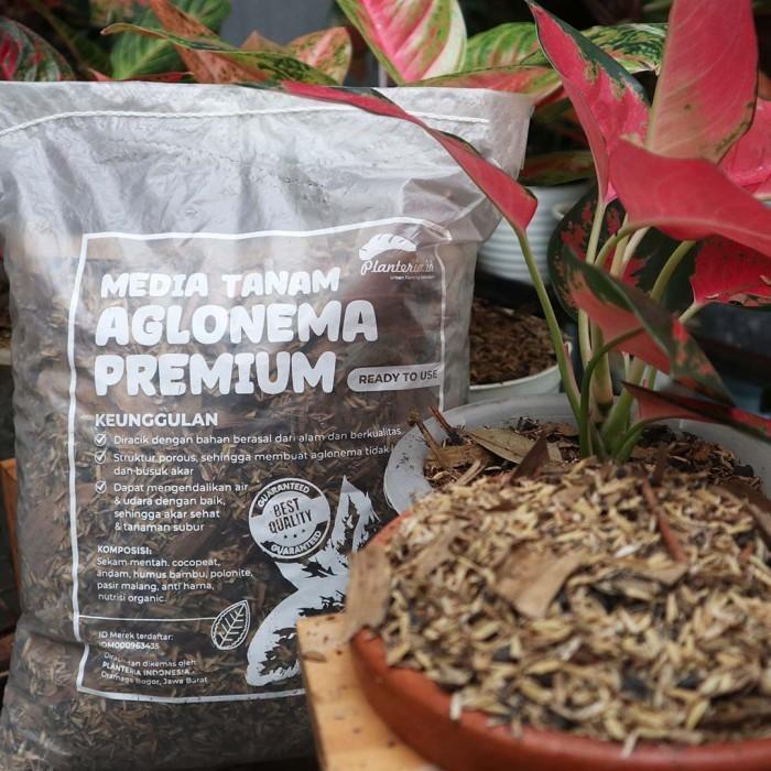 Serasiinspace Media Tanam Aglonema Fermentasi Media Tanam Premium 2,5Kg By Planteria.Id Tanah