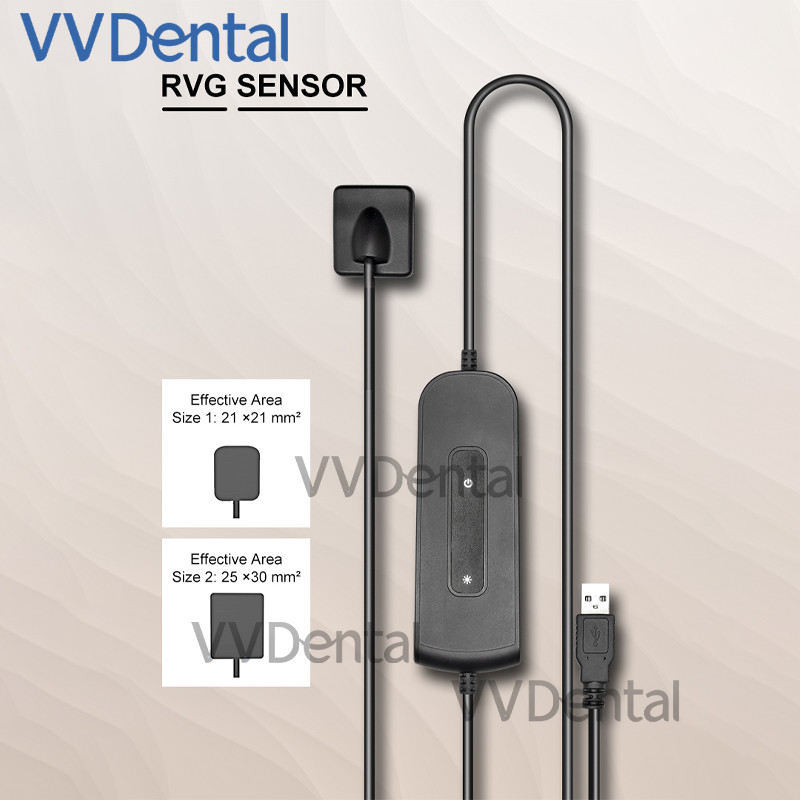 Image Rvg X-Ray Dental Sensor Digital Intraoral Equipment Rvg Dental Radiography Sensor X Ray