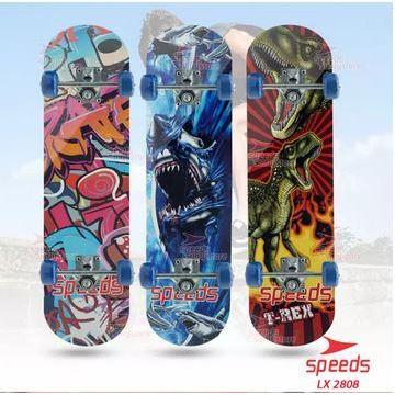 skateboard fullset