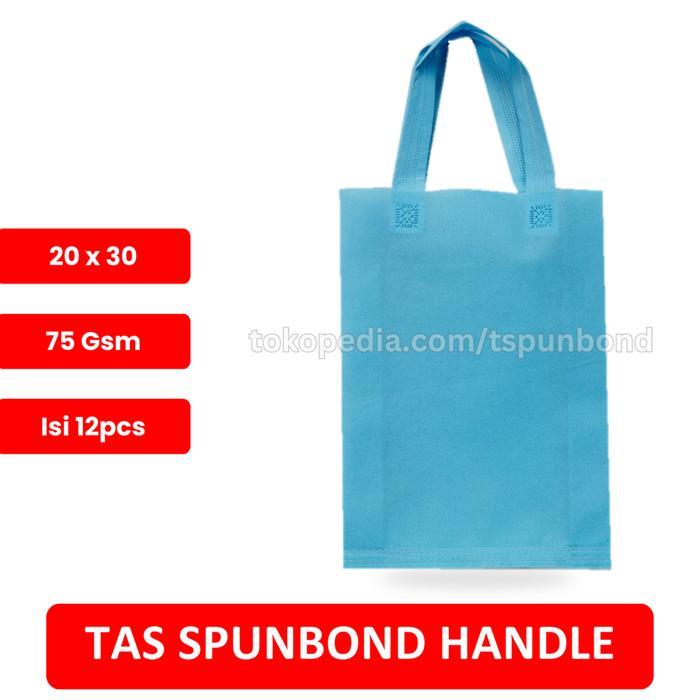 GOODIE BAG SPUNBOND HANDLE 20x30 SATUAN / Tas Belanja / Kantong Belanja Murah / BIRU MUDA