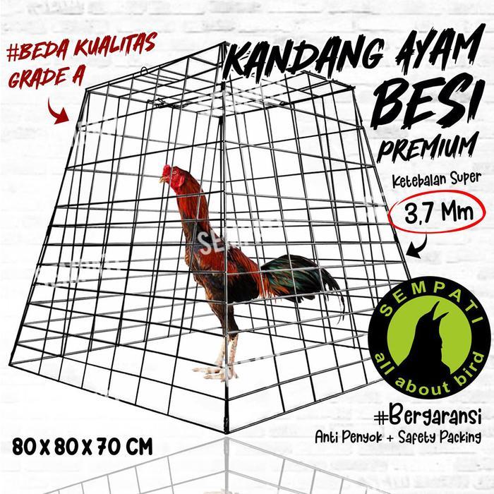 SEMPATI Kandang Ayam Kurungan Ayam Galvanis Piramida Pyramida Sangkar Besi Laga Jago Bangkok Jantan