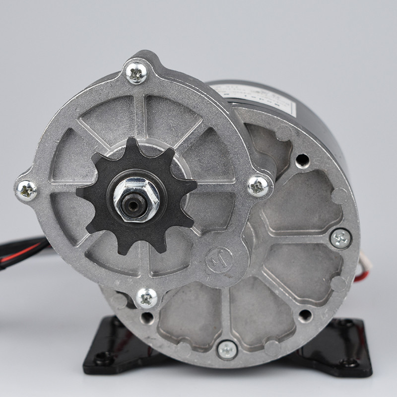 Electric Bike Conversion Kit 250W 12V MY1016Z DC Gear Brush Motor Kit 20-28" Tricycle Electric Wheel