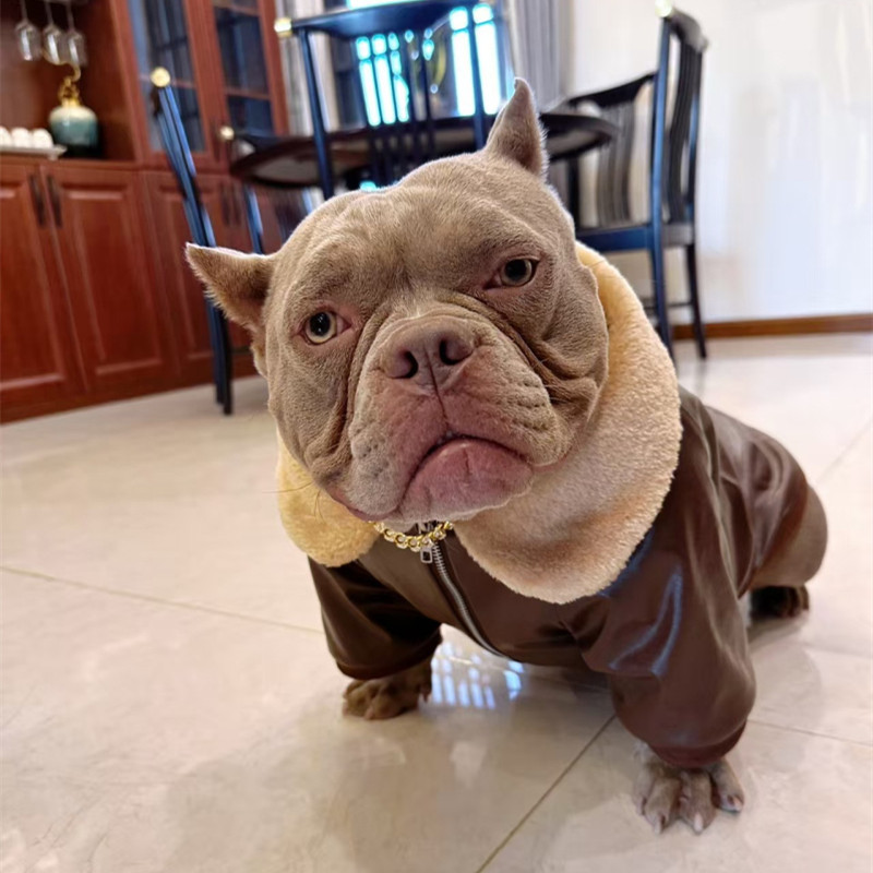 Pug Dog Coat Jacket Winter French Bulldog Clothes Schnauzer American Bully Pitbull Dog Costume