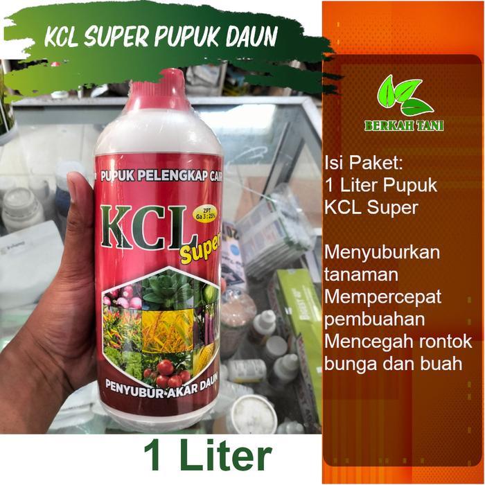 Najwa Gadget Kcl Super 1 Liter Pupuk Kcl Cair Pupuk Penambah Bobot Padi