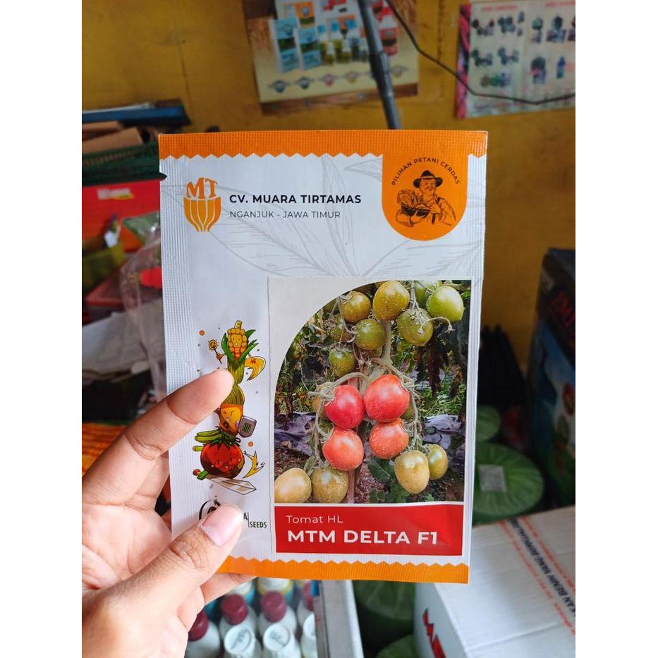 Serasiinspace Benih Tomat Mtm Delta F1 10 Gr