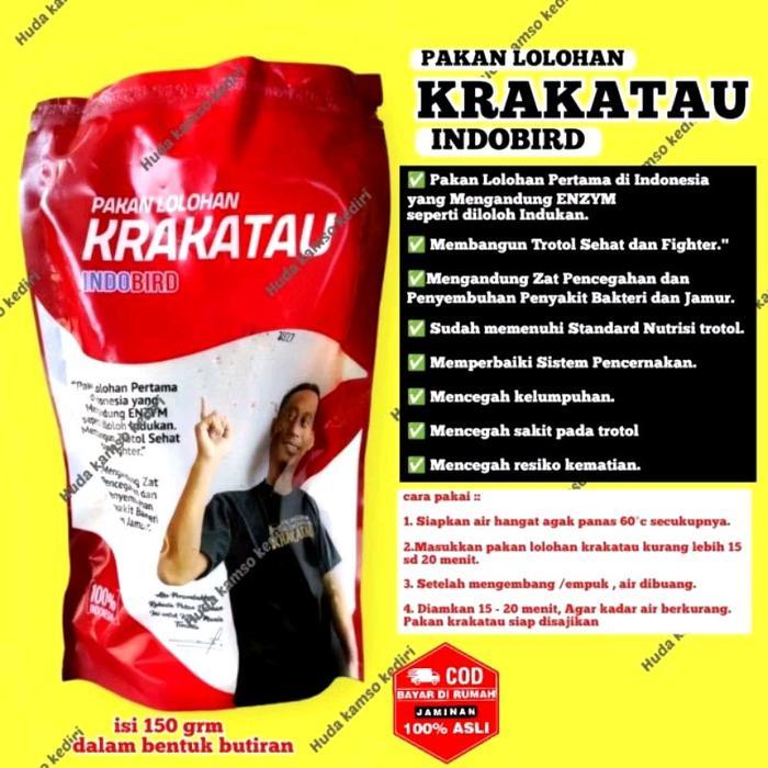 PAKAN LOLOHAN KRAKATAU PAKAN BURUNG PEMAKAN SERANGGA LOLOHAN BURUNG