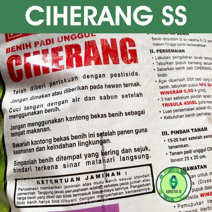 Sale Terlaris Benih Padi Ciherang Ss 5 Kg Cap Kapal Terbang