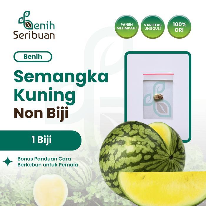 1 Benih Semangka Non Biji Kuning F1 Hibrida Benih Buah Semangka Besar