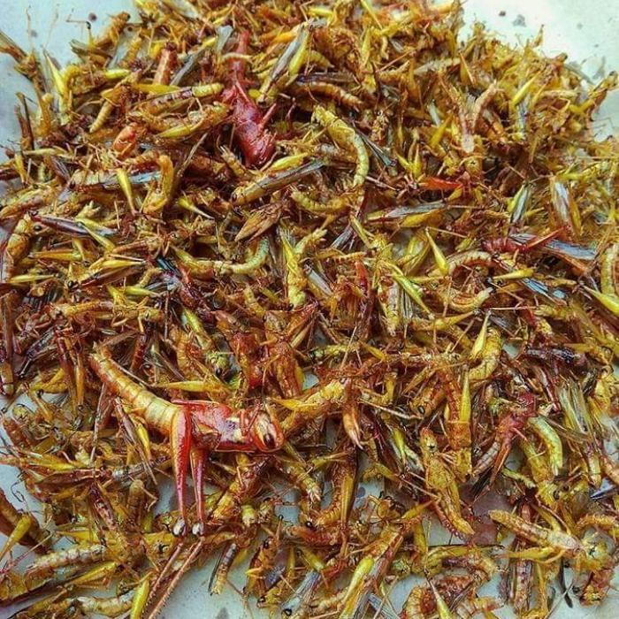 (DISKON 50%) WALANG GORENG/BELALANG GORENG 1 KG - STREET FOOD ID