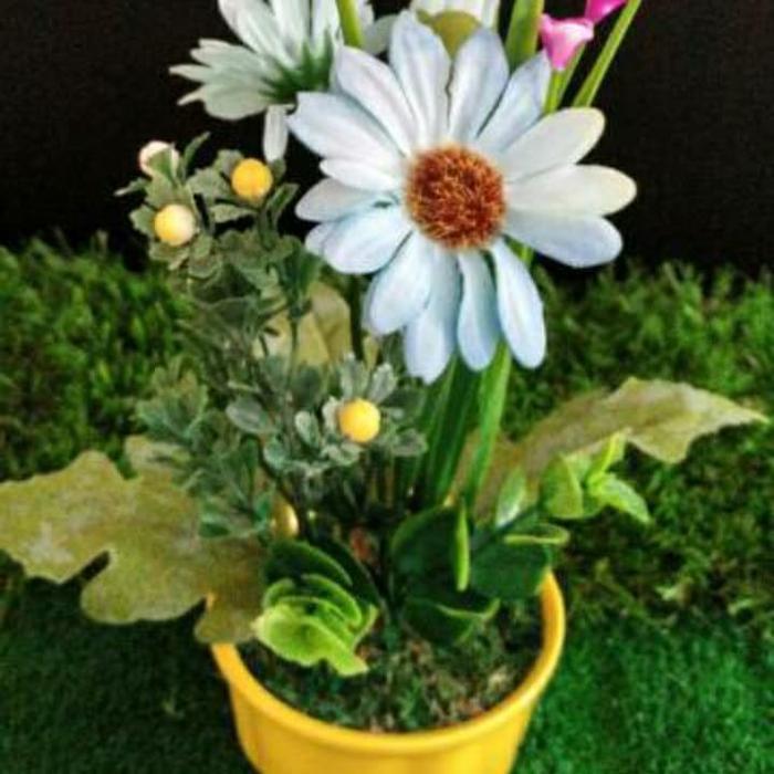 "New" lumut kering rumput kering green moss dekorasi