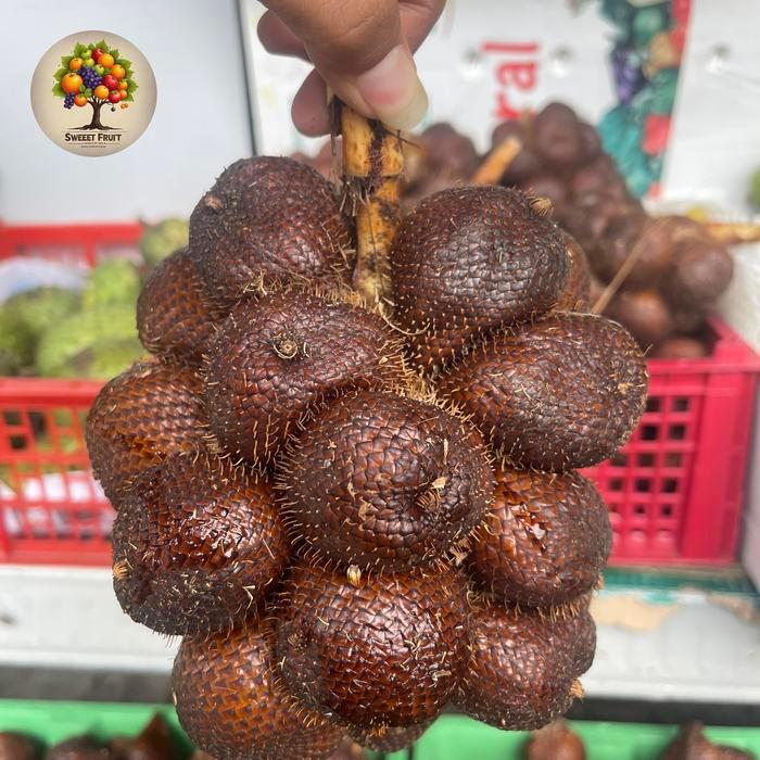 Salak Bali Sweet Salak Gula pasir Dari Bali Fresh 3Kg