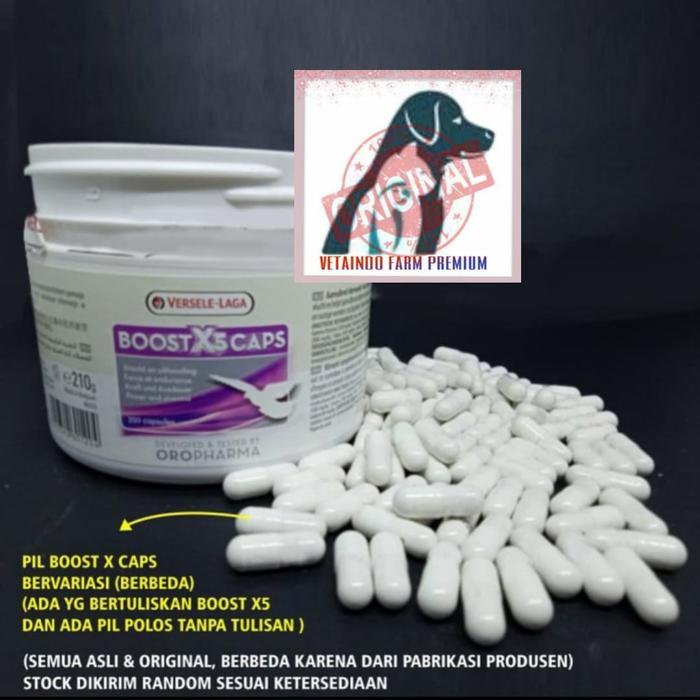 BOOST X5 CAPS VERSELE LAGA VITAMIN KAPSUL BURUNG MERPATI BALAP KOLONG
