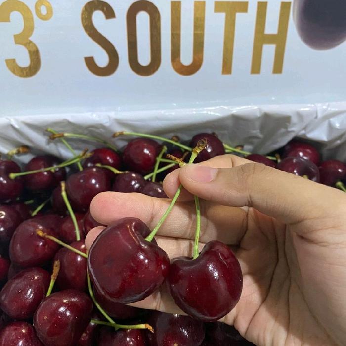 SALE TASMANIA CHERRY 43 SOUTH. CHERRY HAMPERS CNY. IMLEK. BAGUS FRESH SEGAR TERMURAH