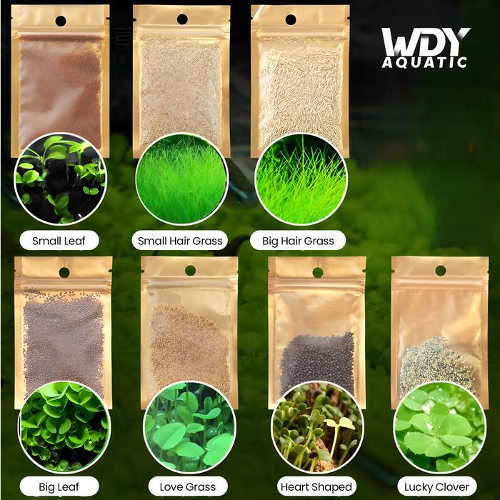 Carpet Seed Aquascape Tanaman Carpet Aquarium Akuarium