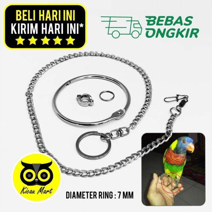 KICAU MART RANTAI FREE FLYING BURUNG NURI PUTER PELUNG RING KAKI BURUNG 7 MM RTFL7M