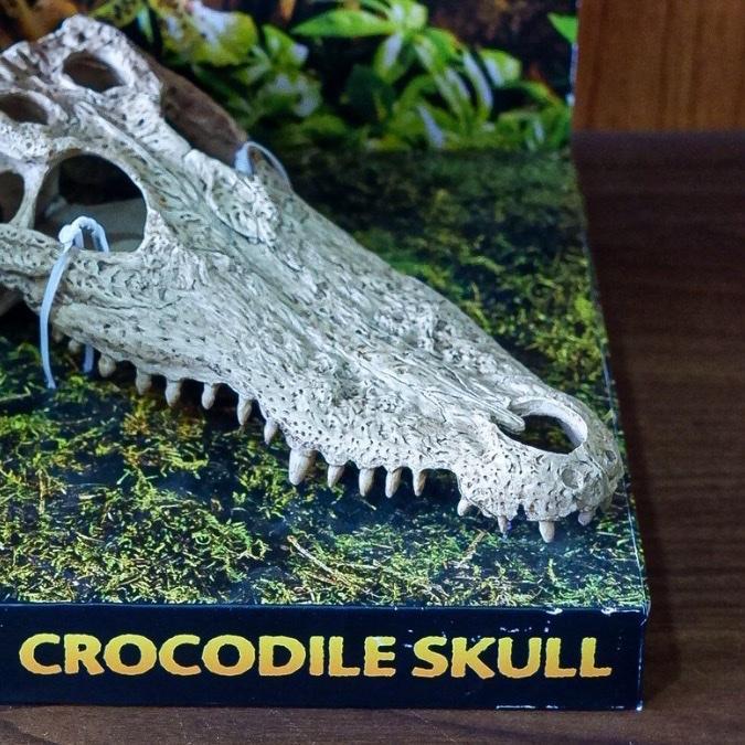 CROCODILE SKULL EXOTERRA / HIDING CAVE REPTIL / HIASAN KANDANG TERRARIUM REPTIL