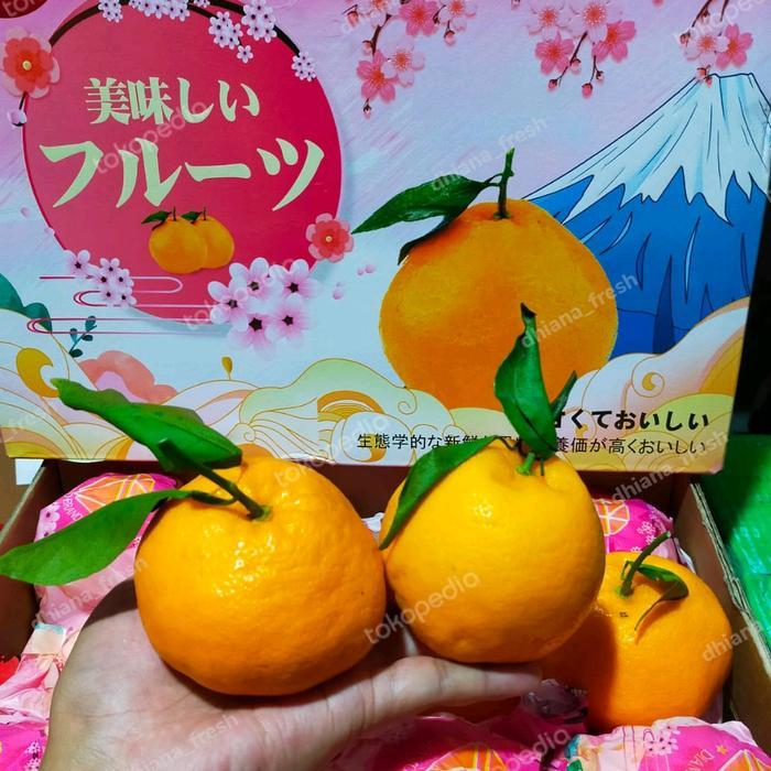 Jeruk Chun Jian Dekopon Buah Jeruk Papagan Diamond 1 dus