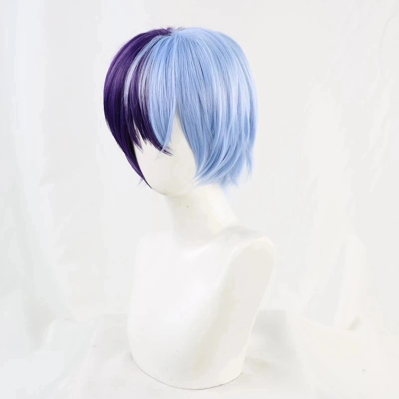 Anime Aoyagi Toya Cosplay Synthetic Wig Project Sekai Colorful Stage Heat Resistant Hair Wigs