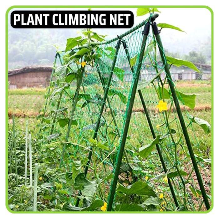 <<<<<] Tali Jaring Net Rambatan Tanaman Rambat Merambat Bunga Sayuran Anggur