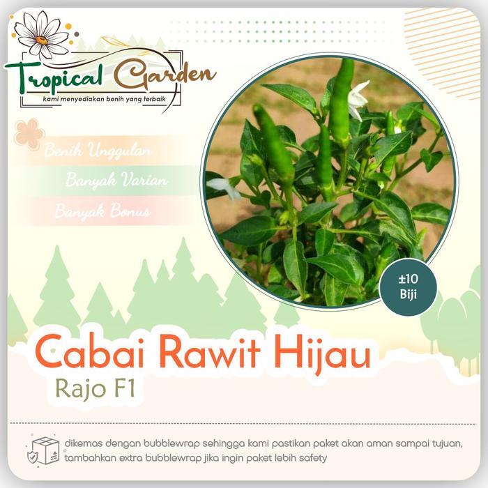 Benih Cabai Rawit Hijau Pedas Biji Cabai Unggul COD