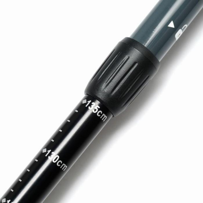 Eiger Trail Enduro Trekking Pole