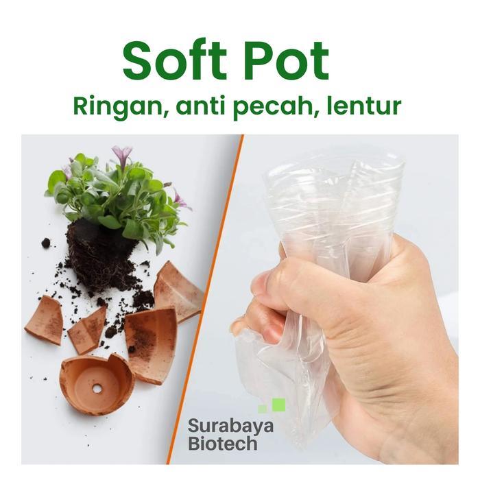 Top Softpot Anggrek Remaja 2.5 inch (1 ikat = 100 pot) Soft Pot Transparan