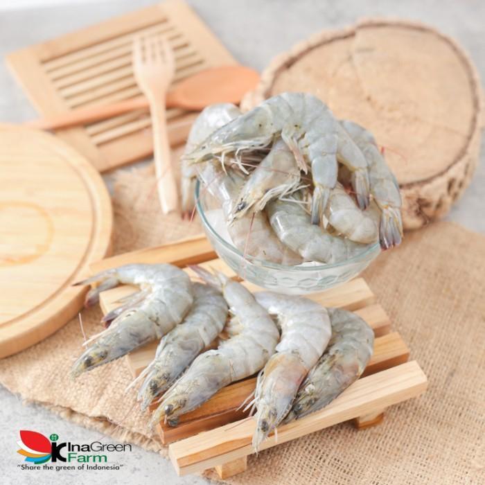 SIAPKIRIM Udang Peci Besar Premium Inn Farm Bandung READY STOCK