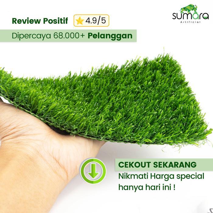 Rumput Sintetis Swiss 2Cm Standar - Karpet Rumput Hijau Murah Dekorasi Taman, Dinding & Indoor