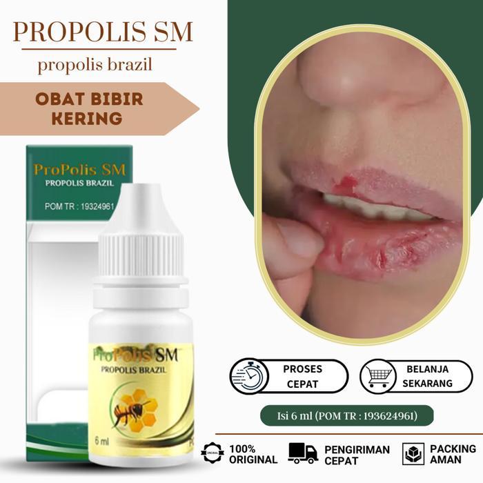 Pelembab Bibir Kering Pecah - Pecah dan Mengelupas