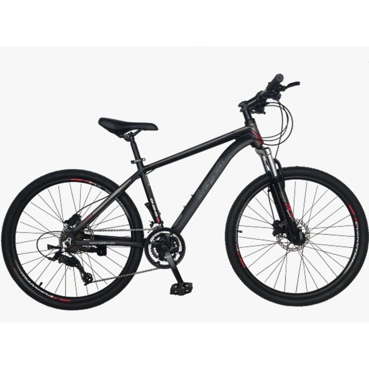 Kedai Sepeda - Sepeda Gunung MTB 26 Evergreen Blaze 686 24 speed