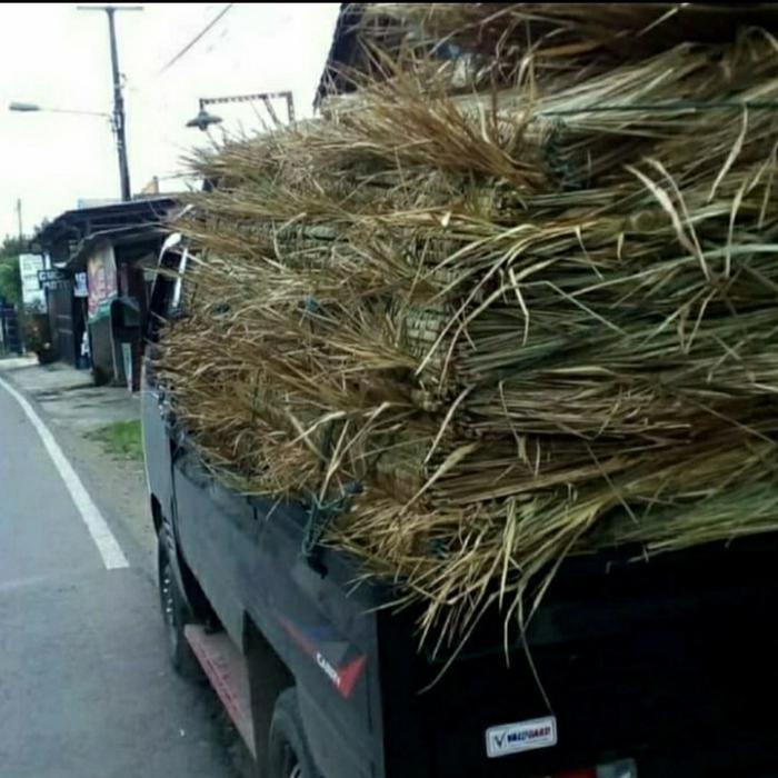 N3W Atap ilalang Atap alang-alang Atap saung Atap rumah