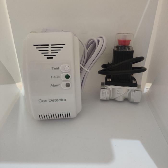 Gas Detector Gas Detektor Alarm Gas + Solenoid Alarm Gas Detector