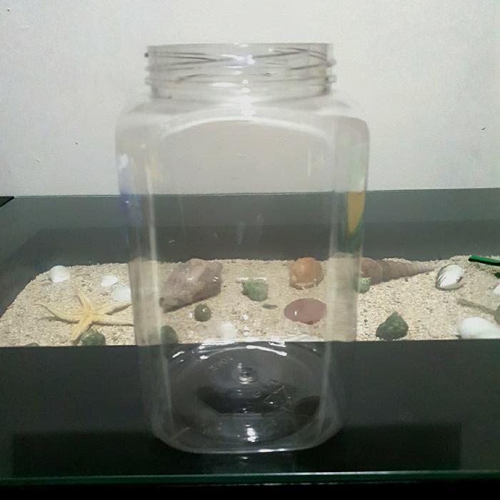 Toples Plastik Ikan Cupang 2 Liter