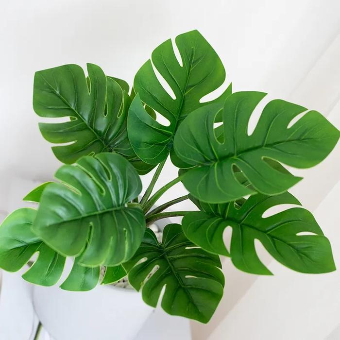 Rangkaian Pot Monstera Small Leaves Foliage -Daun Monstera Latex
