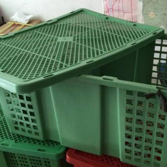 [] Keranjang Buah Krat Plastik Keranjang Klengkeng Baru