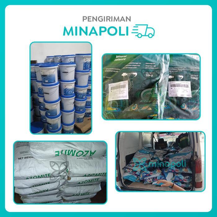 PROBIOTIK UDANG DAN IKAN BIOLACTO MB PRO 1 KG UNTUK MEMPERBAIKI FUNGSI PENCERNAAN DAN MEMPERKUAT
