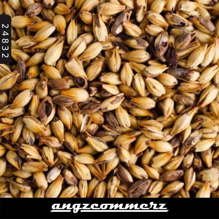 Gandum Aus Malt Premium 1KG Varian Lengkap Cara Biscuit Black Chocolate Coffee Crystal Munich Pilsen