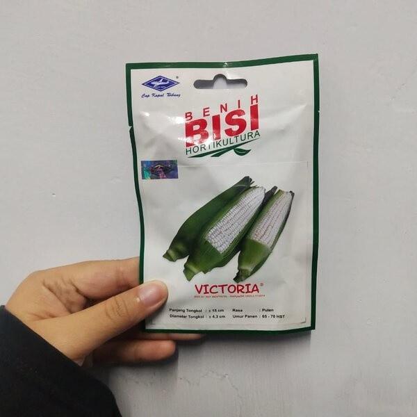 ((((()paling dicari] Benih Bibit Jagung Manis Pulut Ketan Putih Victoria F1 50 Biji BISI