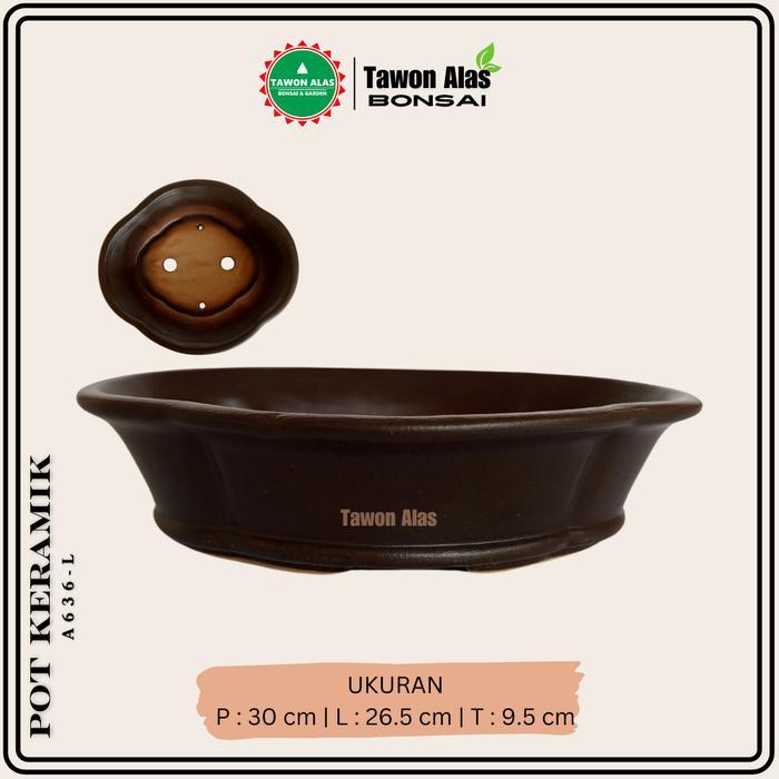 Najwa Gadget Pot Keramik Bonsai Dan Tanaman Hias Oval 30 Cm Ukuran L