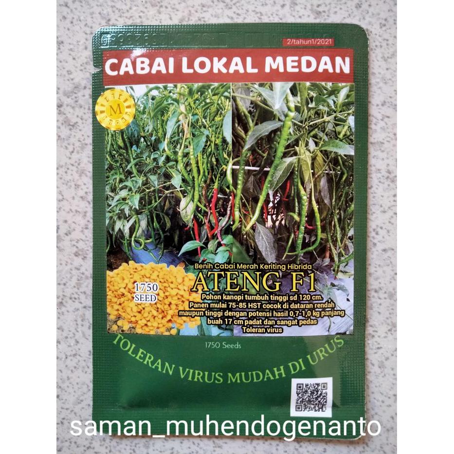 Benih Cabe Merah Keriting Hibrida ATENG F1 10 Gram Toleran Fusarium dan Virus - Bibit Cabai ATENG F1